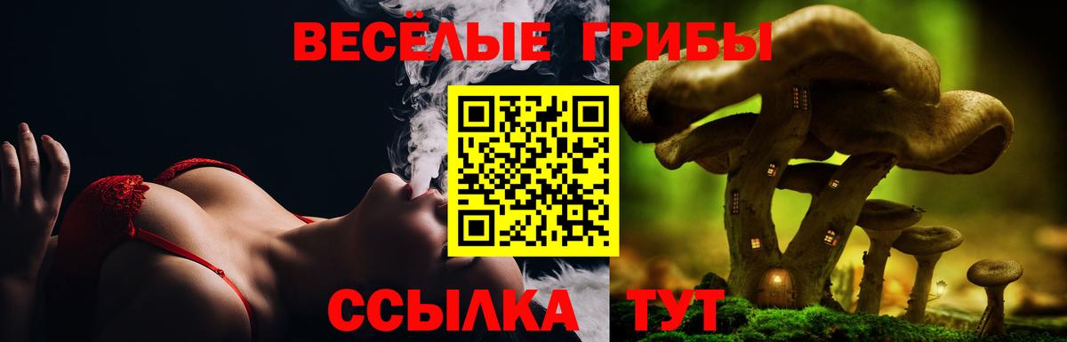 Псилоцибиновые грибы MAGIC MUSHROOMS  Псилоцибиновые грибы Cubensis  Вход с VPN  Медногорск 